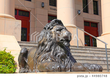 本堂を見守るライオンの像 44980748
