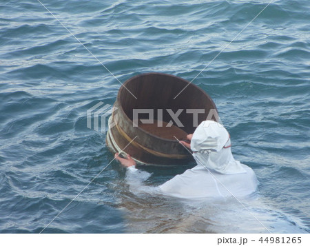伊勢の海女さんの漁 伊勢の海女さんの漁 44981265