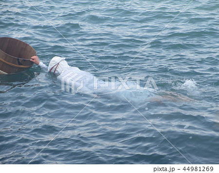 伊勢の海女さんの漁 44981269