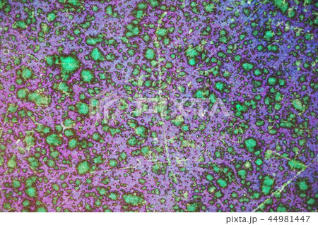 abstract oil color texture 44981447