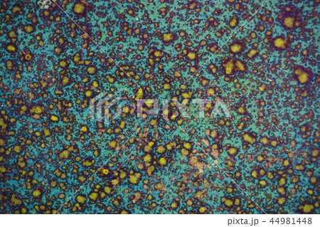 abstract oil color texture 44981448