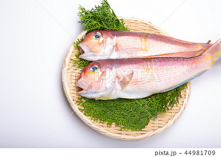 甘鯛　食材 44981709