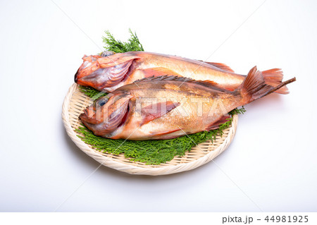 メバル　食材 44981925