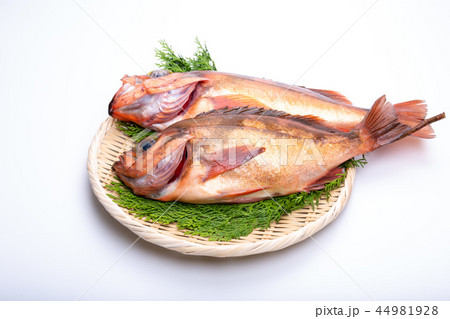 メバル 食材 メバル 食材 44981928