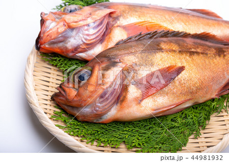 メバル 食材 メバル 食材 44981932