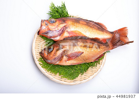 メバル 食材 メバル 食材 44981937