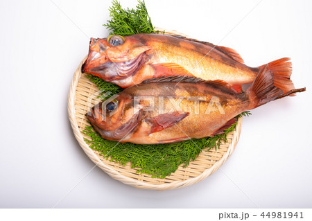 メバル 食材 メバル 食材 44981941
