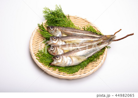 ハタハタ　食材 44982065