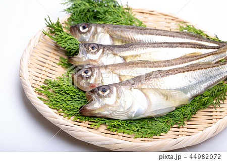 ハタハタ　食材 44982072