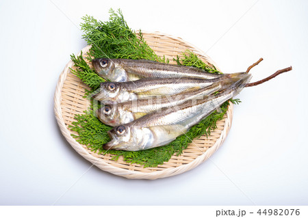 ハタハタ 食材 ハタハタ 食材 44982076