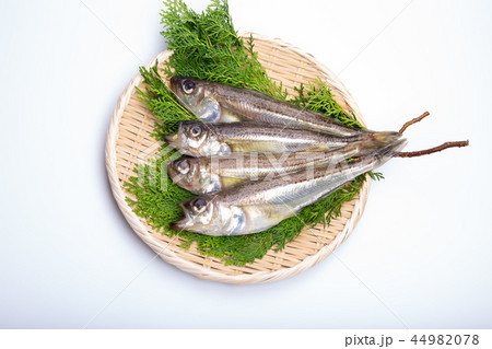 ハタハタ　食材 44982078