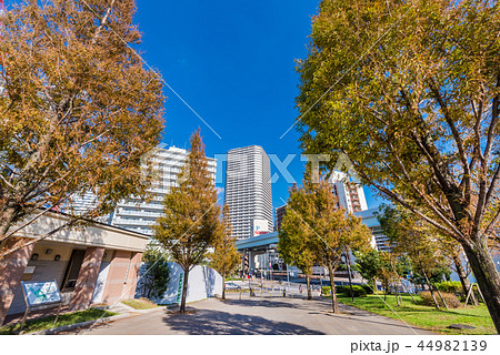 豊洲公園の風景 44982139