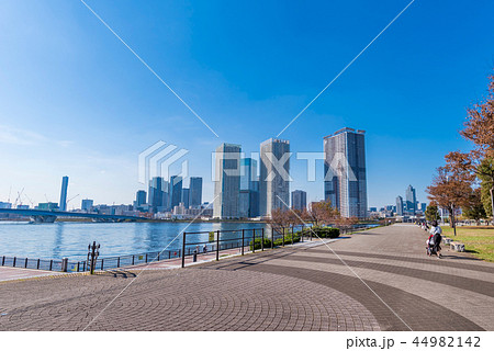 豊洲 晴海橋公園とウォーターフロントの風景 44982142