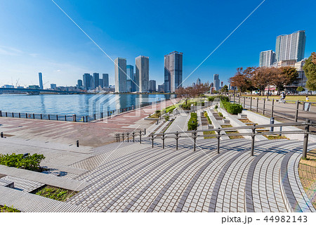 豊洲 晴海橋公園とウォーターフロントの風景 44982143