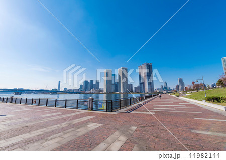 豊洲 晴海橋公園とウォーターフロントの風景 44982144