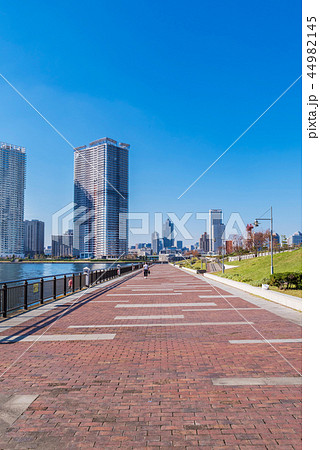 豊洲 晴海橋公園とウォーターフロントの風景 44982145