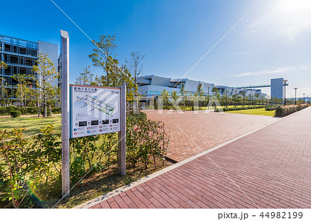 豊洲ぐるり公園と豊洲市場の風景 44982199