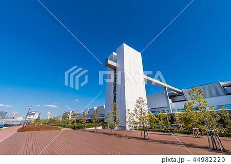 豊洲ぐるり公園と豊洲市場の風景 豊洲ぐるり公園と豊洲市場の風景 44982220