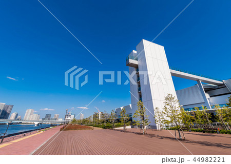 豊洲ぐるり公園と豊洲市場の風景 44982221