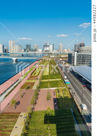 豊洲ぐるり公園と豊洲市場の風景 44982227