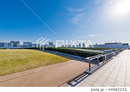 豊洲市場の屋上緑化広場 44982233