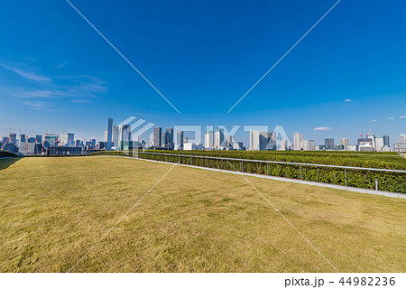 豊洲市場の屋上緑化広場 44982236