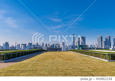 豊洲市場の屋上緑化広場 44982238