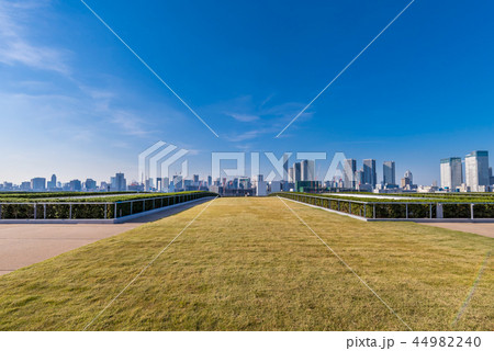 豊洲市場の屋上緑化広場 44982240
