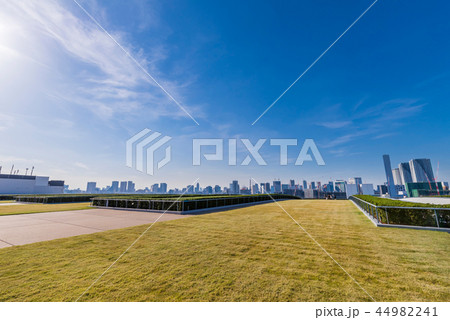 豊洲市場の屋上緑化広場 44982241