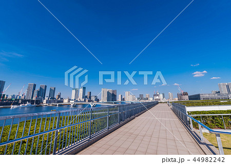 豊洲市場の屋上緑化広場 44982242