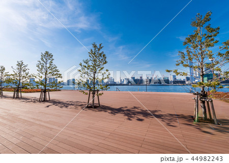 豊洲ぐるり公園の風景 豊洲ぐるり公園の風景 44982243