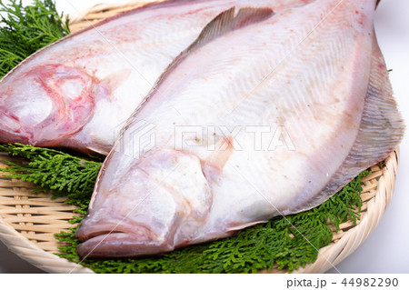 カレイ 食材 カレイ 食材 44982290