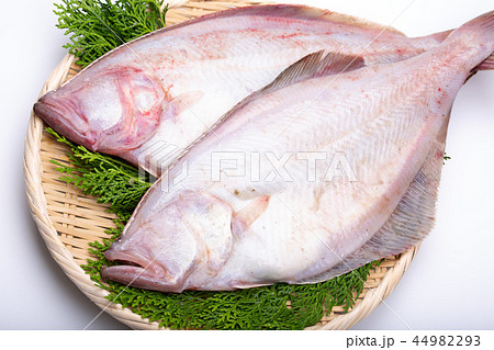 カレイ　食材　 44982293