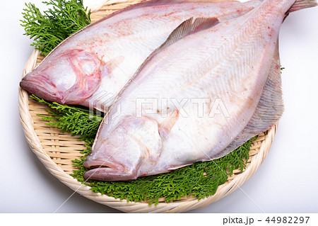 カレイ　食材　 44982297