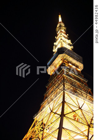 風景　東京タワー　夜景　ライトアップ 44982436