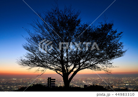 ぼくらの広場 44983310