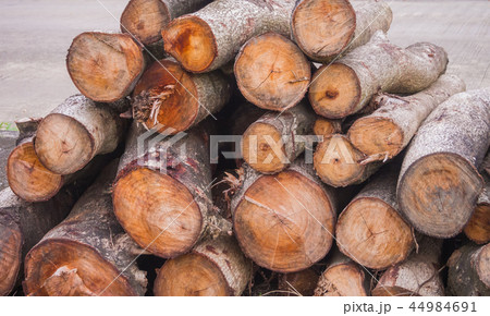 Pile of wood Pile of wood 44984691