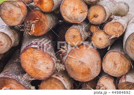 Pile of wood Pile of wood 44984692