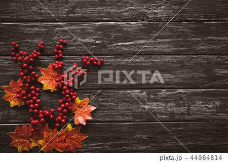Top view of Autumn maple leaves with red berries Top view of Autumn maple leaves with red berries 44984814