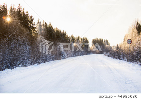 Winter road through the forest 44985030