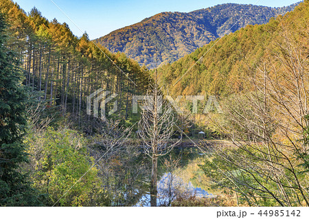 ヘブンスそのはら 44985142