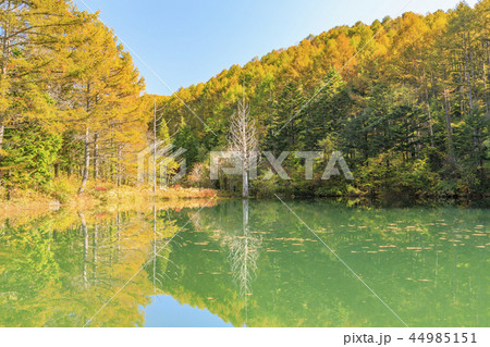 ヘブンスそのはら 44985151