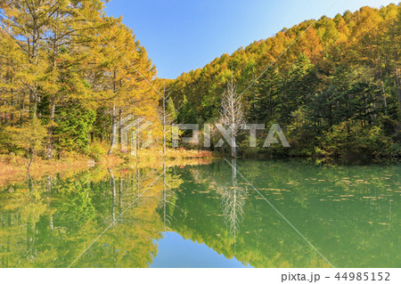 ヘブンスそのはら 44985152