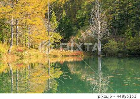 ヘブンスそのはら 44985153