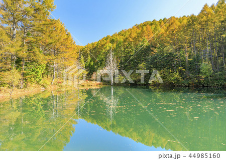 ヘブンスそのはら ヘブンスそのはら 44985160