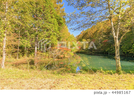 ヘブンスそのはら 44985167