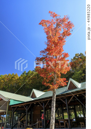 ヘブンスそのはら ヘブンスそのはら 44985220