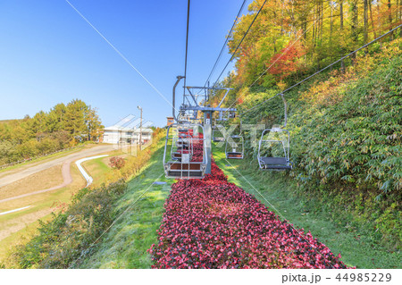 ヘブンスそのはら 44985229