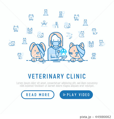 Veterinary clinic concept. Thin line icons Veterinary clinic concept. Thin line icons 44986662