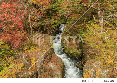 日光　竜頭ノ滝 44986700